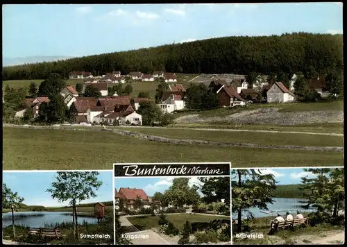 Buntenbock Mehrbild-AK Ortsansicht, Sumpfteich, Kurgarten, Badeteich 1967