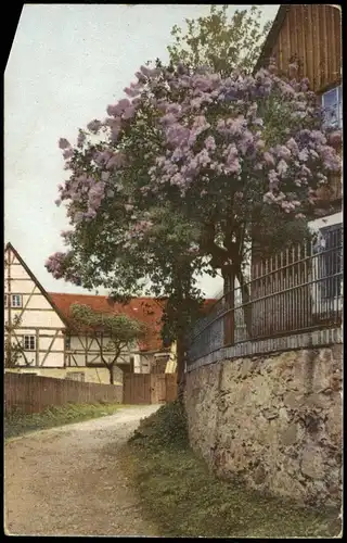 Ansichtskarte  Stimmungsbild: Frühling, Baumblüte - Dorfpartie 1912