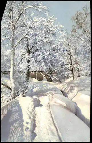 Ansichtskarte Rehefeld-Altenberg (Erzgebirge) Stimmungsbild Winter Schnee 1913