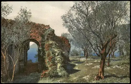Ansichtskarte  Stimmungsbild: Frühling, Ruine Baumblüte Photochromie 1912