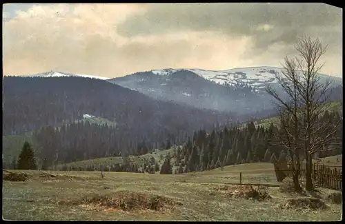 Feldberg (Schwarzwald) Seebuck (Berg) Schwarzwald - Stimmungsbild 1915