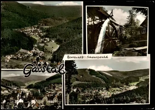 Ansichtskarte Bad Herrenalb Das Gaistal 1967