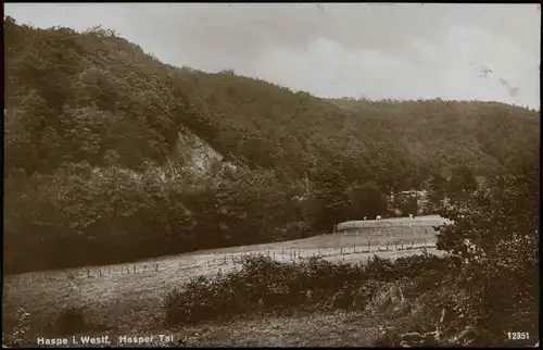 Ansichtskarte Haspe-Hagen (Westfalen) Hasper Tal 1929