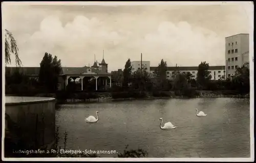 Ansichtskarte Ludwigshafen Ebertpark , Schwanensee - Häuser 1929