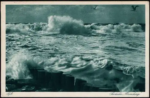Ansichtskarte Sylt Insel Sylt Seestudie Brandung 1929  gel. Stempel Westerland