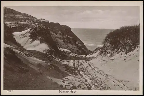 Ansichtskarte Sylt Dünenschlucht Insel Sylt 1928