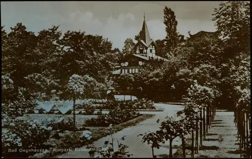 Ansichtskarte Bad Oeynhausen Kurpark, Rosenanlage 1925