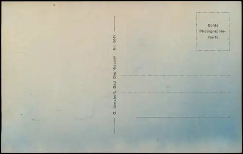 Ansichtskarte Bad Oeynhausen Kurpark, Rosenanlage 1925