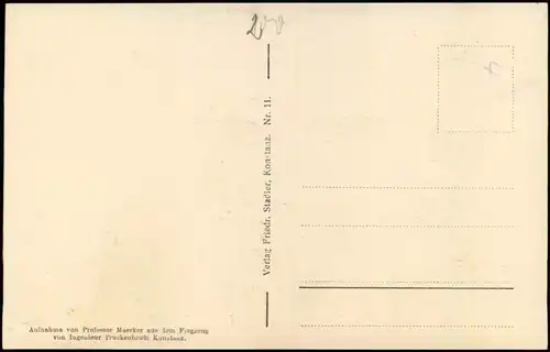 Ansichtskarte Konstanz Luftbild Insel Mainau 1923