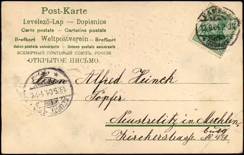 Ansichtskarte  Liebe Liebespaare - Love Kleeblatt Herzen Feilchen 1904