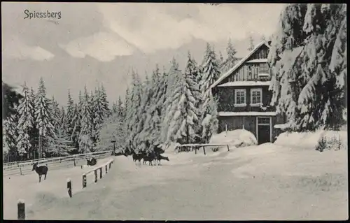 Ansichtskarte Friedrichroda Spiessberg-Hotel im Winter Rehe 1909
