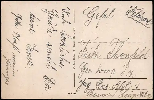 Postcard Schluckenau Šluknov Karltal-Kurhotel 1916