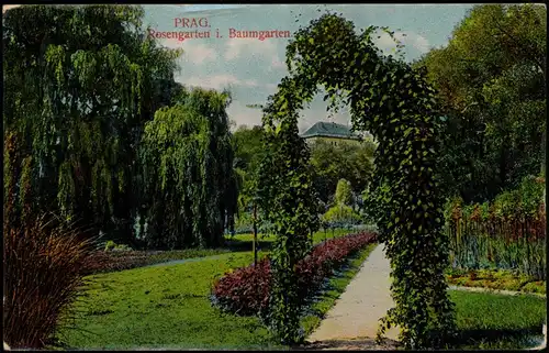 Postcard Prag Praha Rosengarten i. Baumgarten 1912