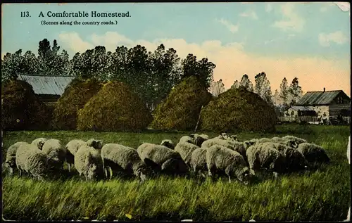 .USA United States of America A Comfortable Homestead. USA Farmer Bauern 1913
