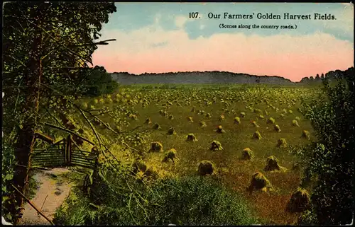 .USA United States America Our Farmers' Golden Harvest Fields. Farmer  USA 1913