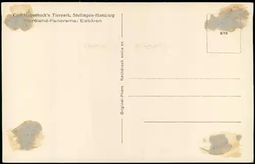 Stellingen-Hamburg Tierpark Hagenbeck Nordland-Panorama: Eisbären 1932