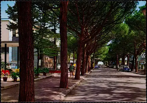 Cartoline Riccione Viale Ceccarini 1978