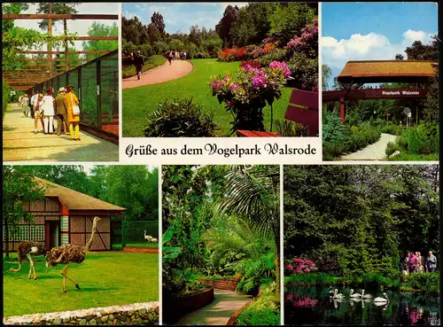 Ansichtskarte Walsrode Vogelpark Mehrbild 1989