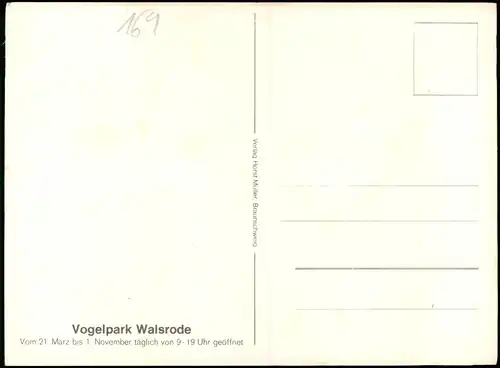 Ansichtskarte Walsrode Vogelpark Mehrbild 1989