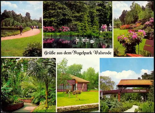 Ansichtskarte Walsrode Vogelpark Mehrbild - Häuser 1991