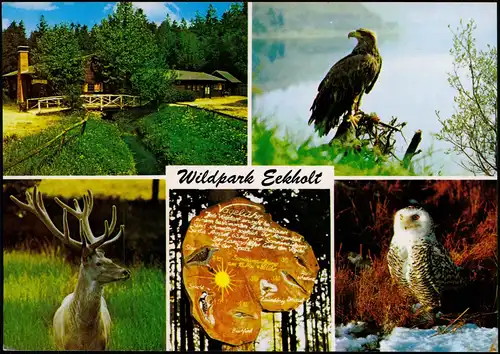 Ansichtskarte Großenaspe Wildpark Eekholt - Mehrbild 1988
