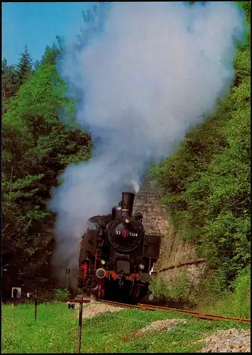 Dampflok EUROVAPOR-Sonderzug Weizen-Zollhaus-Blumberg (Wutachtalbahn) 1975