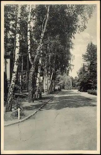 Ansichtskarte Zossen Truppenübungsplatz, Straße 1937