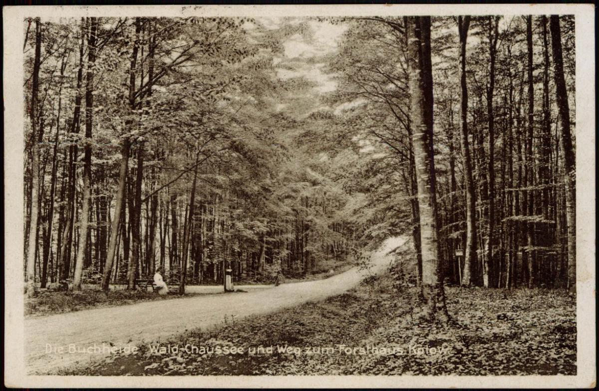 Stettin Szczecin Buchheide WaldChaussee und Weg zum Forsthaus kolow