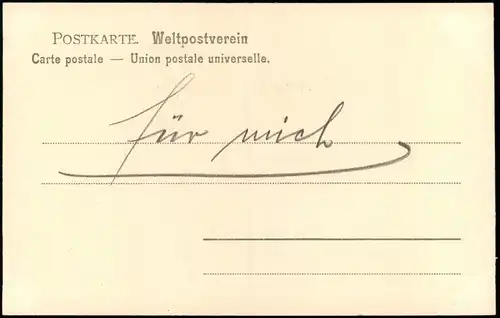 Ansichtskarte Bad Elster Marienquelle, Innengestaltung 1908