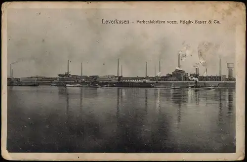 Leverkusen Farbenfabriken vorm. Friedr Bayer & Co. 1917  gel. Feldpost Wiesdorf
