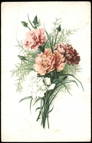 Ansichtskarte  Fauna Pflanzen BLUMEN Künstlerkarte 1926