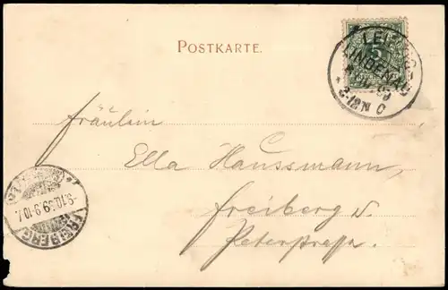 Ansichtskarte Leipzig Palmengarten 1899   gel FREIBERG (Ankunftsstempel)