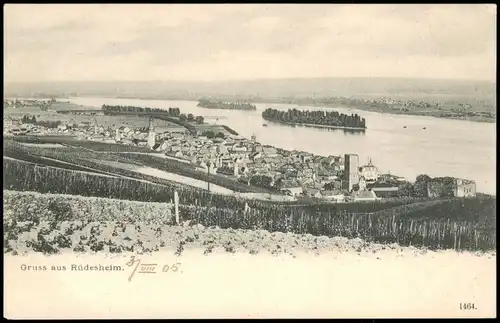 Ansichtskarte Rüdesheim (Rhein) Blick über die Weinberge zur Stadt 1905