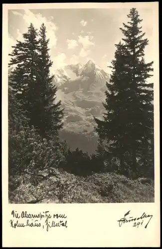 .Tirol Zillertal -Tirol, Blick durch den Wald auf den Gletscher 1930