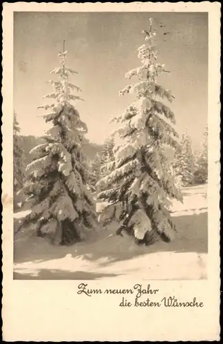 Ansichtskarte  Neujahr Sylvester New Year Tannen im Winter Schnee 1944