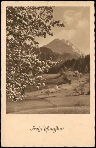Ansichtskarte  Glückwunsch: Pfingsten Landschaft Baumblüte 1942