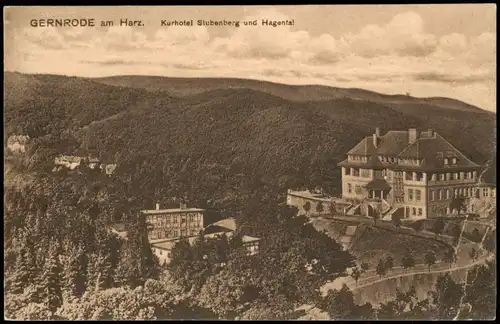 Gernrode-Quedlinburg Panorama Blick Kurhotel Stubenberg und Hagental 1926