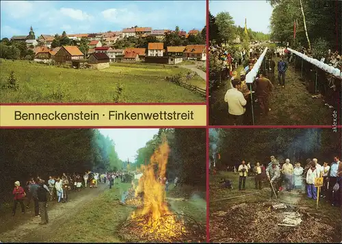 Ansichtskarte Benneckenstein Panorama-Ansicht, Finkenwettstreit 1989