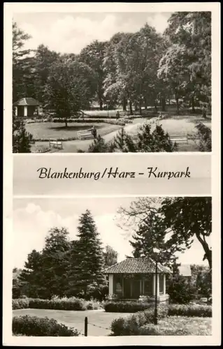 Ansichtskarte Blankenburg (Harz) Kurpark DDR Mehrbildkarte 1958