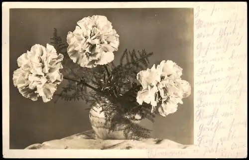 Ansichtskarte  Botanik :: Blumen, Nelken in der Vase - Fotokarte 1949