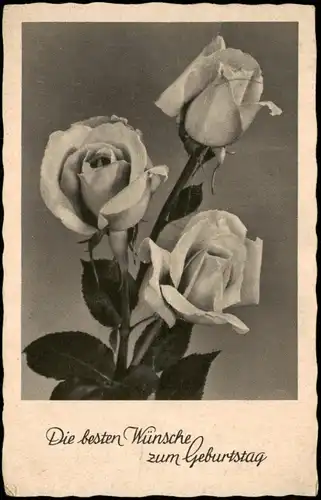 Ansichtskarte  Glückwunsch Geburtstag Birthday - Rosen 1953 Posthorn Notopfer