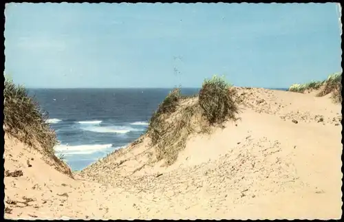 .Mecklenburg-Vorpommern Ostsee/ Baltic Sea - Dünen, Colorfotokarte 1962