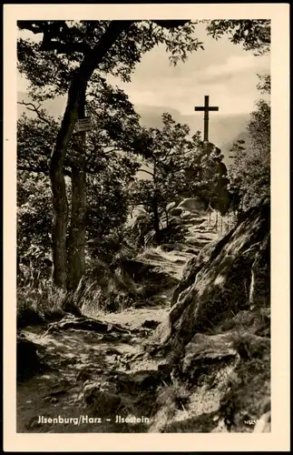 Ansichtskarte Ilsenburg (Harz) Ilsestein / Ilsenstein - Kreuz - Fotokarte 1957