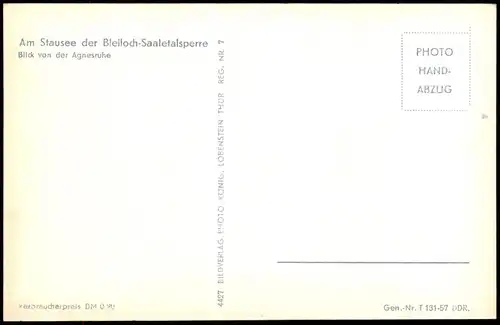Saalburg-Ebersdorf (Saale) Am  Bleiloch-Saaletalsperre Blick von Agnesruhe 1957