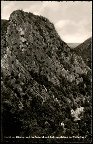 Ansichtskarte Thale (Harz) Hotel am Hirschgrund-Felsen 1962