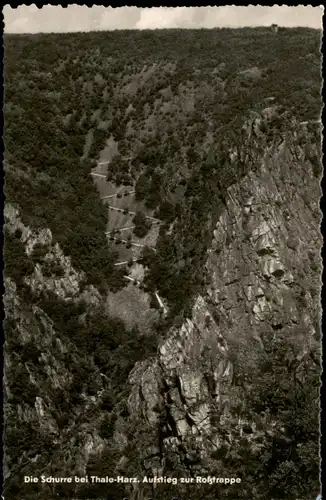 Thale (Harz) Die Schurre bei Thale-Harz. Aufstieg zur Roßstrappe 1962