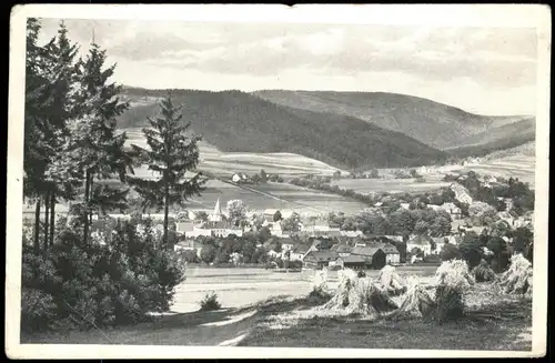 Ansichtskarte Erlbach (Vogtland) Stadt, Heugarben 1947  gel. SBZ