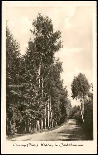 Ansichtskarte Eisenberg (Thüringen) Waldweg bei Friedrichstanneck 1954