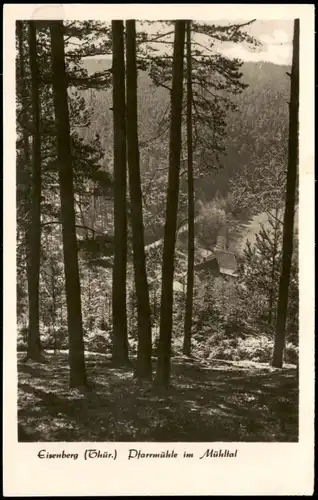 Ansichtskarte Eisenberg (Thüringen) Pfarrmühle im Mühltal 1954