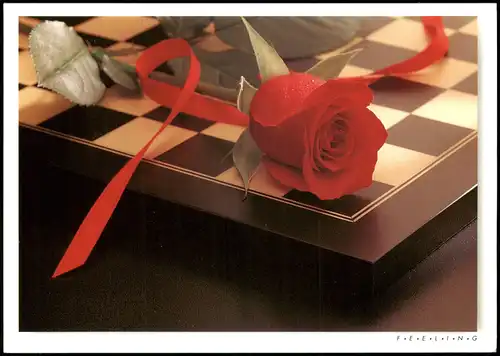 Pas besoin d'en dire plus ! Schach Chess - Spiel Rose auf Schachbrett 2008